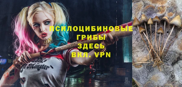 mix Верея
